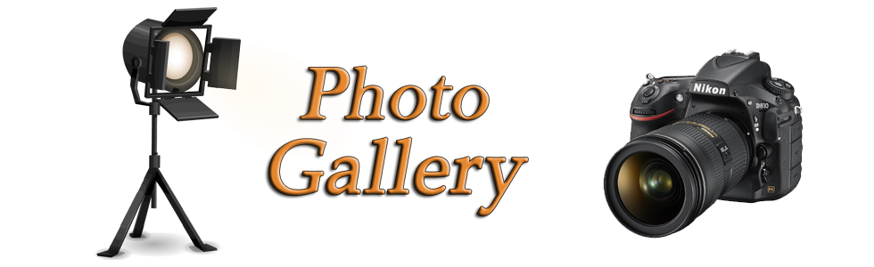 Photo Gallery Banner